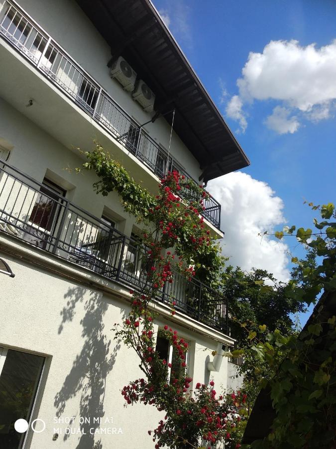 Casa Romaneasca Curtea de Argeş Exteriör bild